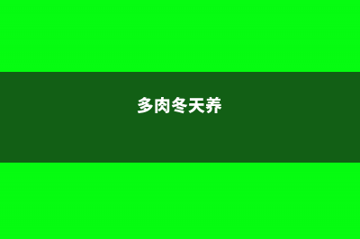 多肉冬天每天应该晒多久太阳 (多肉冬天养)