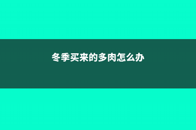 冬天网购多肉怎么服盆 (冬季买来的多肉怎么办)