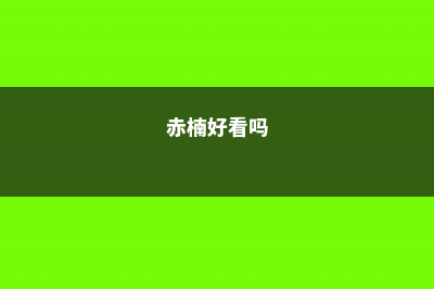 赤楠好养吗？能过冬吗？ (赤楠好看吗)