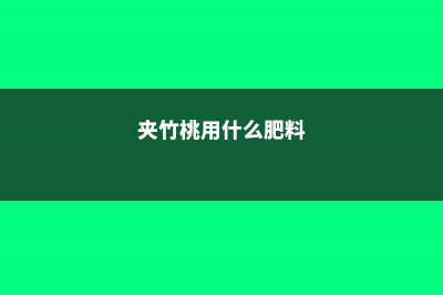 夹竹桃怎么施肥 (夹竹桃用什么肥料)