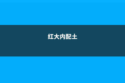 红大内玉怎么种植 (红大内配土)