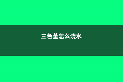 三色堇怎么施肥 (三色堇怎么浇水)