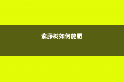 紫藤怎么施肥 (紫藤树如何施肥)