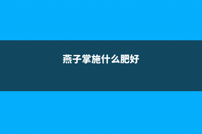 燕子掌怎么施肥 (燕子掌施什么肥好)