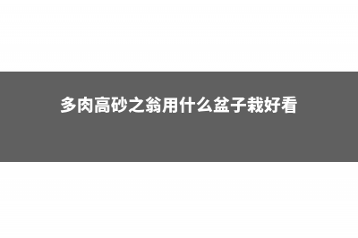 多肉高砂之翁怎么繁殖 (多肉高砂之翁用什么盆子栽好看)