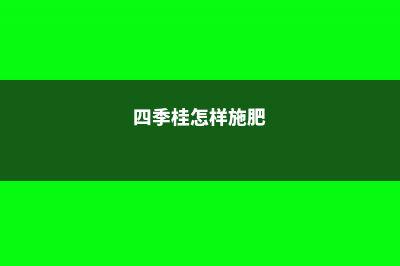 四季桂怎么施肥 (四季桂怎样施肥)