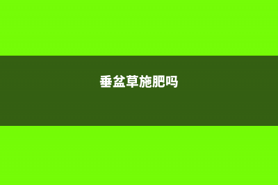 垂盆草怎么施肥 (垂盆草施肥吗)