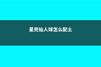 星兜仙人球怎么播种 (星兜仙人球怎么配土)