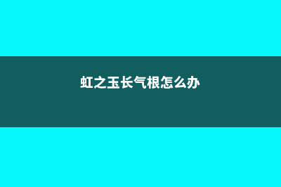 虹之玉长气根怎么办 (虹之玉长气根怎么办)