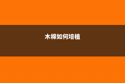 木棉怎么施肥 (木棉如何培植)