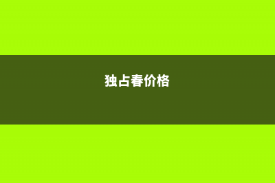 独占春怎么施肥 (独占春价格)