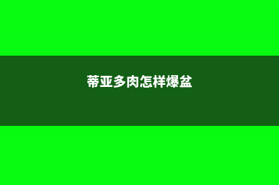 蒂亚多肉怎么变红？这样养护就对了！ (蒂亚多肉怎样爆盆)