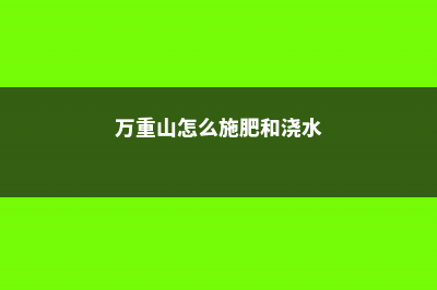 万重山怎么浇水 (万重山怎么施肥和浇水)