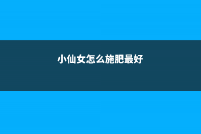 小仙女怎么施肥 (小仙女怎么施肥最好)