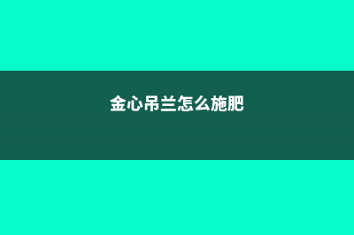 金心吊兰怎么繁殖 (金心吊兰怎么施肥)