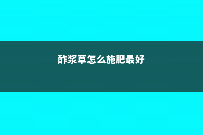 酢浆草怎么施肥 (酢浆草怎么施肥最好)