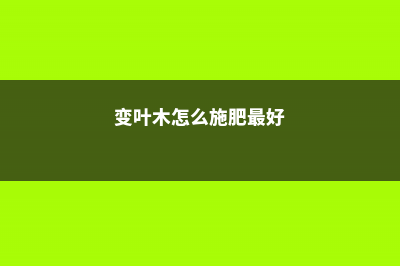 变叶木怎么施肥 (变叶木怎么施肥最好)