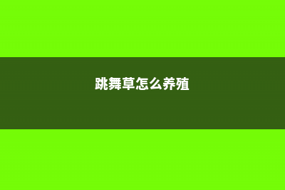 跳舞草怎么施肥 (跳舞草怎么养殖)