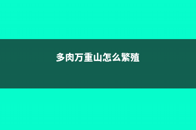 多肉万重山怎么繁殖 (多肉万重山怎么繁殖)