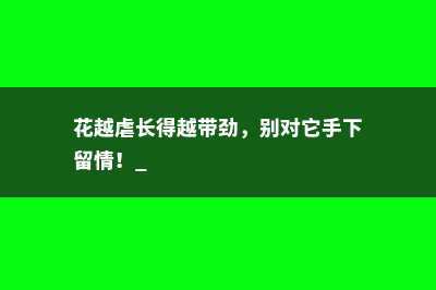 花越虐长得越带劲，别对它手下留情！ 