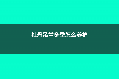 牡丹吊兰冬季怎么养 (牡丹吊兰冬季怎么养护)