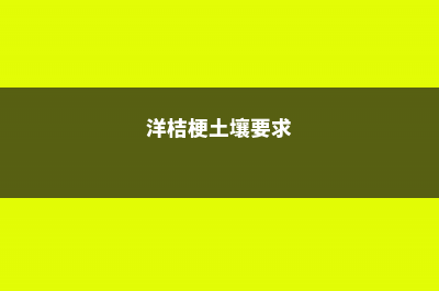 洋桔梗的土壤选择与施肥 (洋桔梗土壤要求)