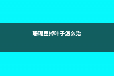 珊瑚豆掉叶子怎么办 (珊瑚豆掉叶子怎么治)