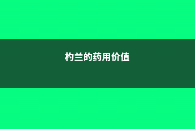 杓兰怎么施肥？选对肥料是关键！ (杓兰的药用价值)