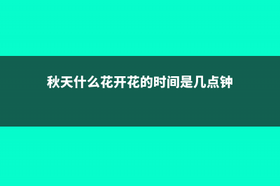 秋天什么花开花？这些花最容易爆盆！ (秋天什么花开花的时间是几点钟)