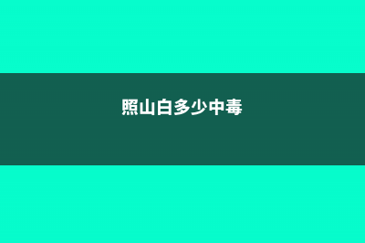 照山白的养殖方法 (照山白多少中毒)