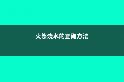 火祭怎么浇水？ (火祭浇水的正确方法)