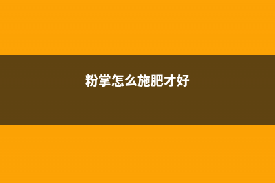 粉掌怎么施肥 (粉掌怎么施肥才好)