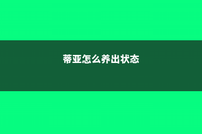 蒂亚怎么养 (蒂亚怎么养出状态)