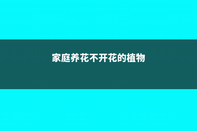 家庭养花不开花怎么办？盘点常见12种花卉促花方法！ (家庭养花不开花的植物)