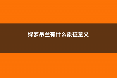 绿萝吊兰…竟然有30个品种！而你只见过2种！ (绿萝吊兰有什么象征意义)