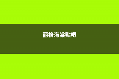 丽格海棠怎么过冬，这样做过冬不用愁！ (丽格海棠贴吧)