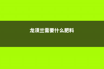 龙须兰怎么施肥 (龙须兰需要什么肥料)