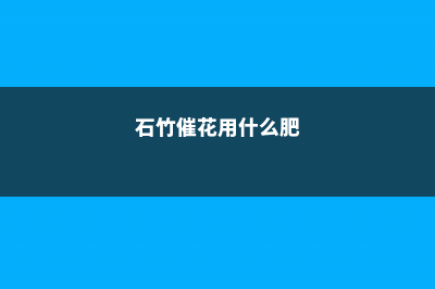 石竹怎么施肥，这样施肥轻松爆盆！ (石竹催花用什么肥)