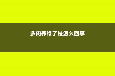 你家多肉绿不拉几，人家的美成调色板，居然就因为这件小事？- (多肉养绿了是怎么回事)