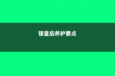 银皇后怎么施肥 (银皇后养护要点)