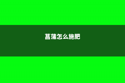 菖蒲怎么施肥 (菖蒲怎么施肥)