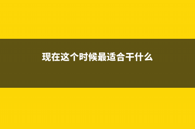 现在这个时候最适合施肥，抓紧机会让你的花根壮叶绿 (现在这个时候最适合干什么)