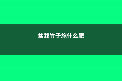 盆栽竹子怎么施肥 (盆栽竹子施什么肥)