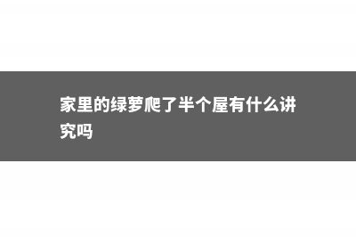 她家的绿萝都爬上房顶了！轻松三步你也能养出来 (家里的绿萝爬了半个屋有什么讲究吗)