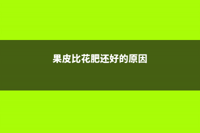 果皮比花肥还好使，放一点叶子不发黄，开花压弯枝 (果皮比花肥还好的原因)