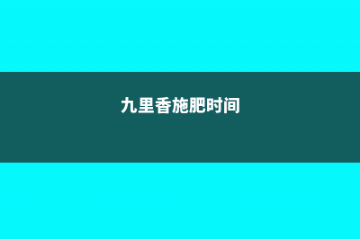 九里香怎么施肥，这样做叶片又绿又亮！ (九里香施肥时间)