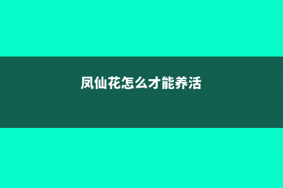 凤仙花怎么安全过冬，这样做轻松又健康！ (凤仙花怎么才能养活)