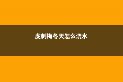 虎刺梅冬天怎么养？ (虎刺梅冬天怎么浇水)