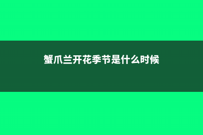 蟹爪兰到开花季了，这样养护让它开成一面瀑布 (蟹爪兰开花季节是什么时候)