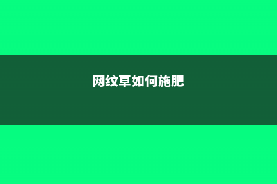 网纹草怎么施肥 (网纹草如何施肥)